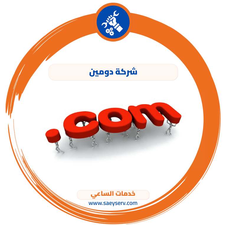 شركة دومين