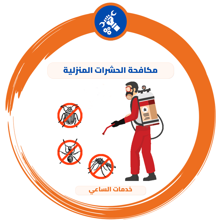 مكافحة الحشرات المنزلية