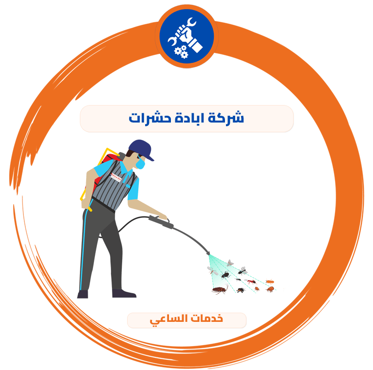 شركة ابادة حشرات