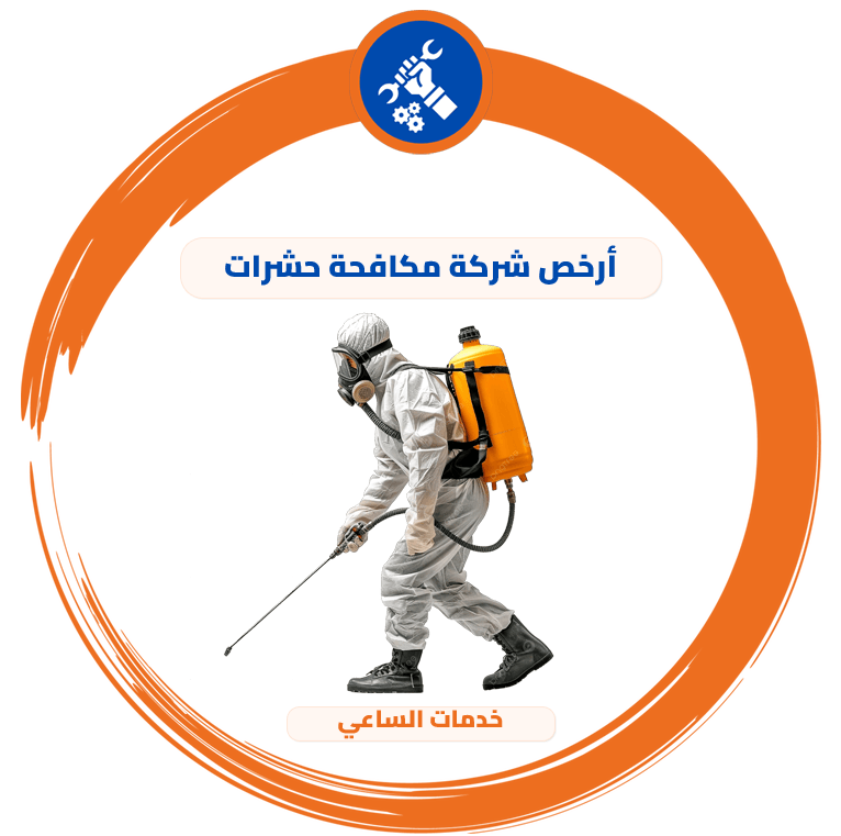 أرخص شركة مكافحة حشرات