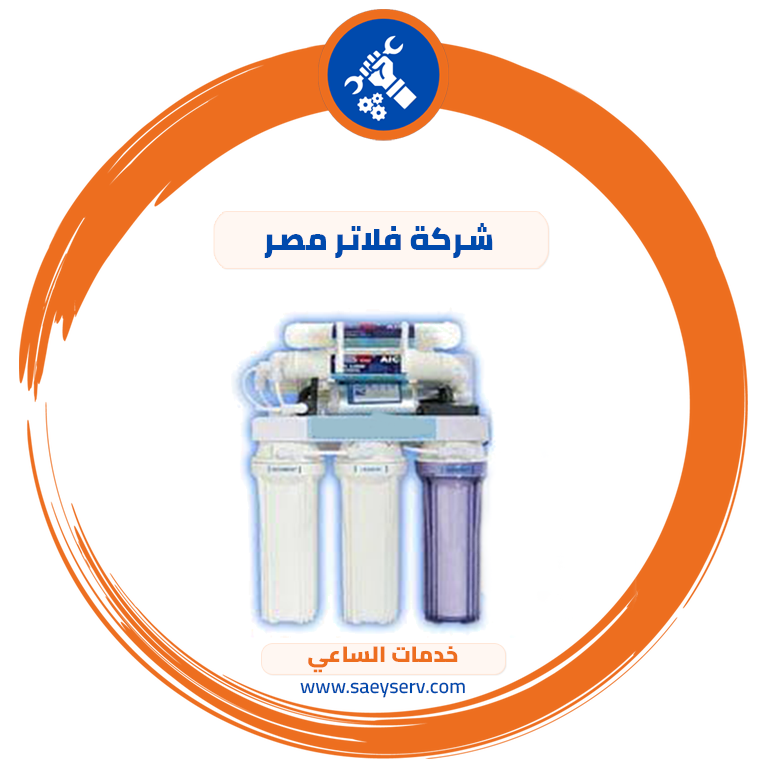 شركة فلاتر مصر