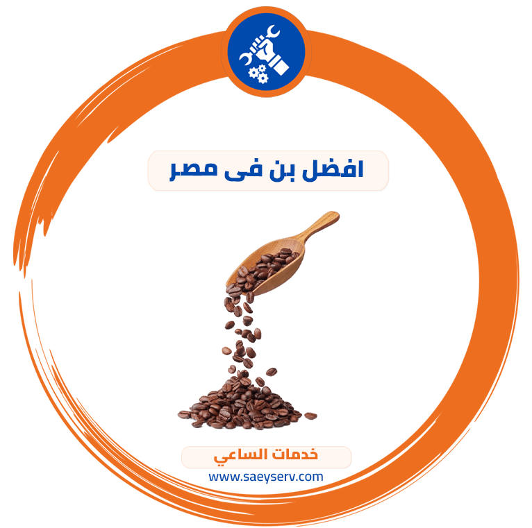 افضل بن فى مصر